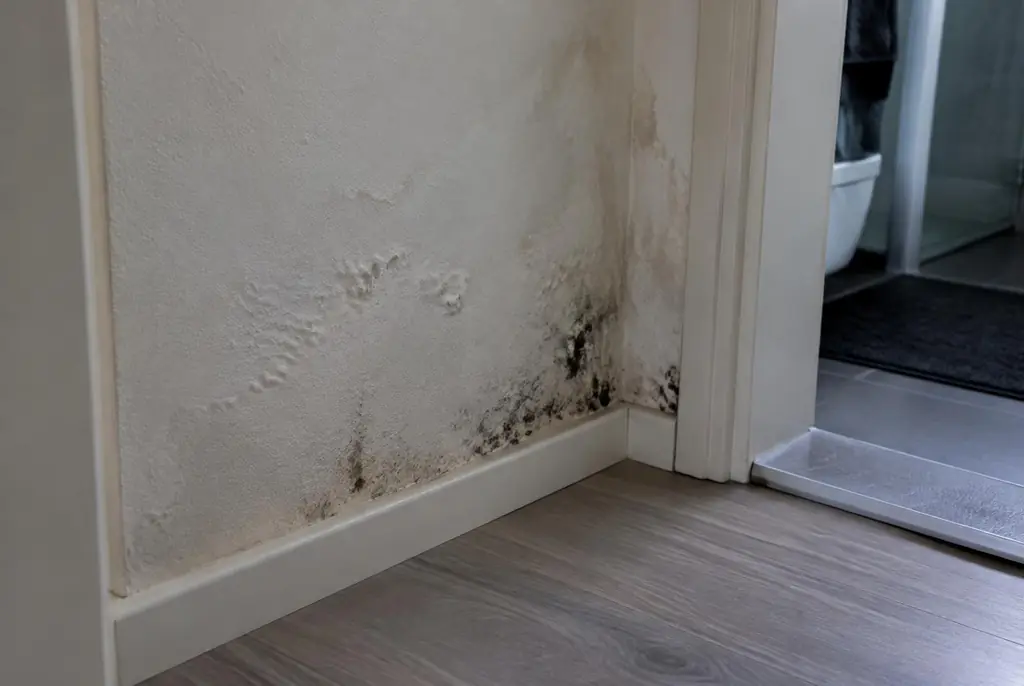 Lekdetectie Hoenderloo – vochtplek met schimmel op een muur
